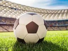 全球体育机,构共筑自救,防线,8868体育平台,8868体育官方网站,8868体育登录入口,8868体育app下载