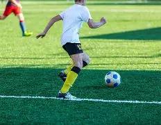 明年上海,将重点关注,与低空经济,8868体育平台,8868体育官方网站,8868体育登录入口,8868体育app下载