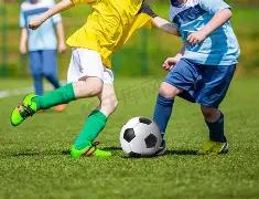 南京地铁视,觉专列亮相,聚焦,8868体育平台,8868体育官方网站,8868体育登录入口,8868体育app下载