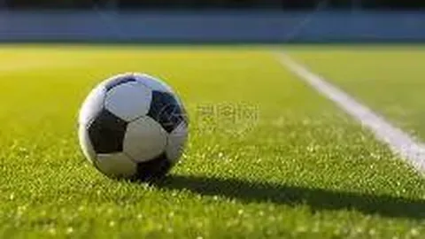 8868体育 产品 134216 mmg