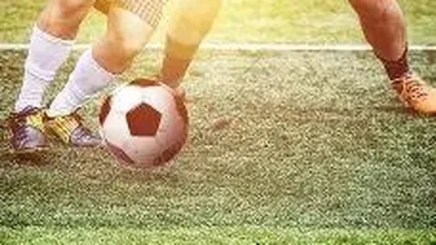 8868体育 资讯 133925 cce