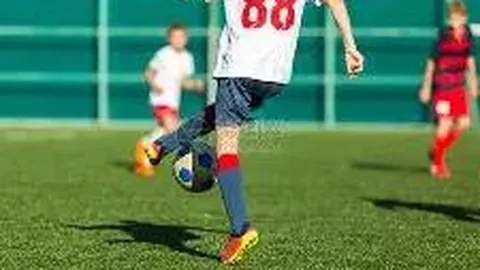 8868体育 资讯 135612 uqc