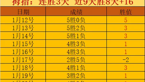 劳塔罗：阿斯拉尼推崇的团队精神领袖，共促成长之路